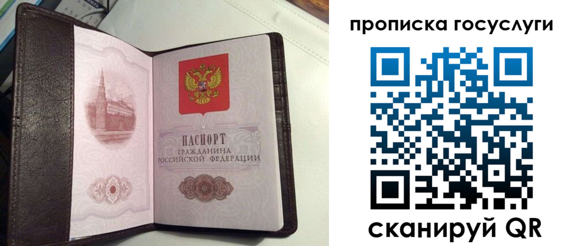 временная прописка в Бикине